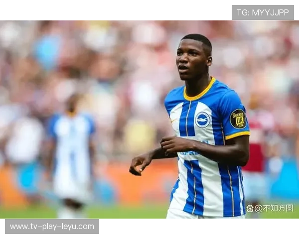 佛罗伦萨准备强化后腰力量，全面提升战斗力的新战略