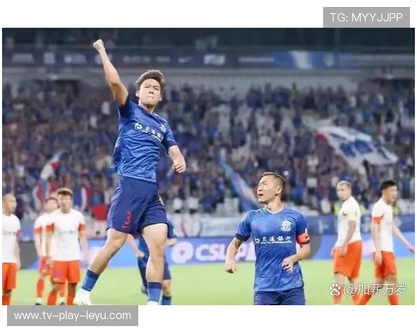 中超联赛球队战绩分析与评价体系，中超战绩表