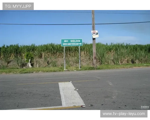 圭亚那职业运动员培训计划启动，圭亚那队