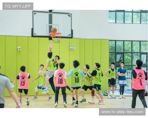 篮球在中国大学生身体素质测试改革中的替代潜力，中国大学生篮球发展