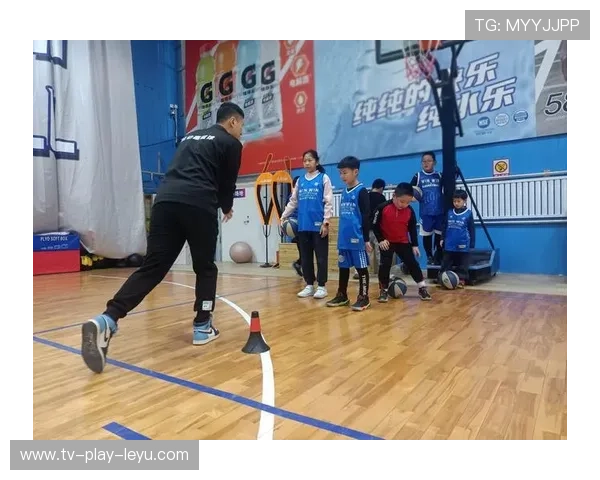 篮球培训机构在中国城市教育资源结构中的分布,篮球培训机构的主管部门是哪里 篮球培训机构在中国城市教育资源结构中的分布,篮球培训机构的主管部门是哪里