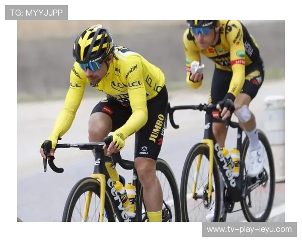 尼斯末段连续解围，守住胜利到手，尼斯百度百科