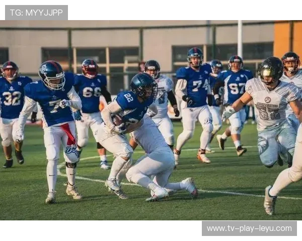 综合赛事新兴项目赛季趋势与分析 综合赛事新兴项目赛季趋势与分析